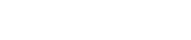 vizper logo